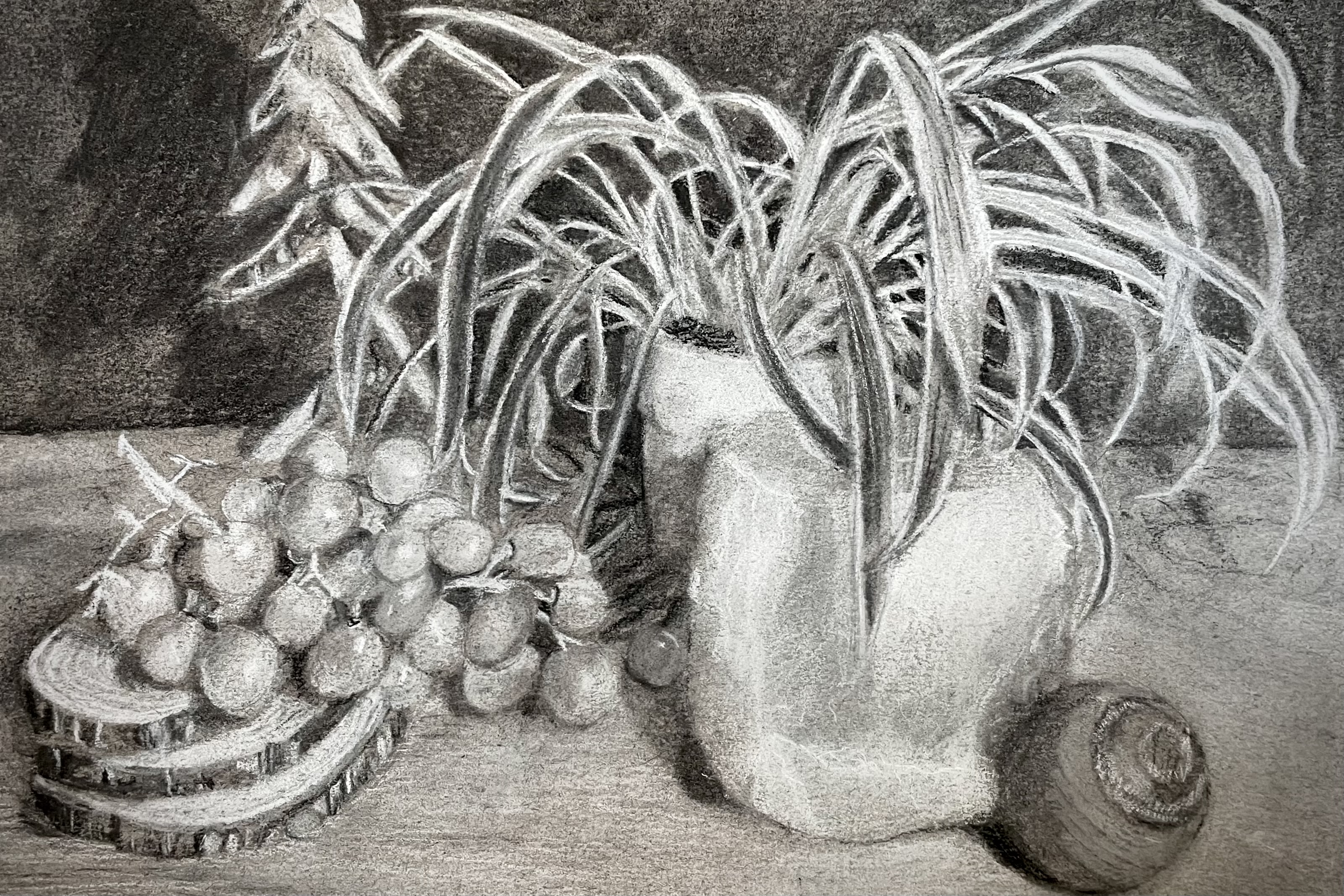 Still Life (charcoal on grey canson paper)